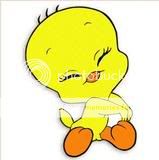 piolin bebe Pictures, piolin bebe Images, piolin bebe Photos